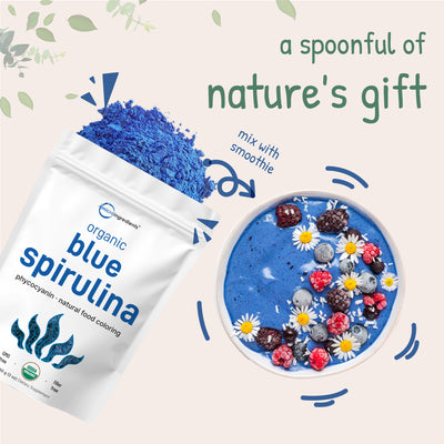 Micro Ingredients Organic Blue Spirulina Powder (Phycocyanin Extract) - No Fishy Smell, 100% Vegan Protein from Blue-Green Algae