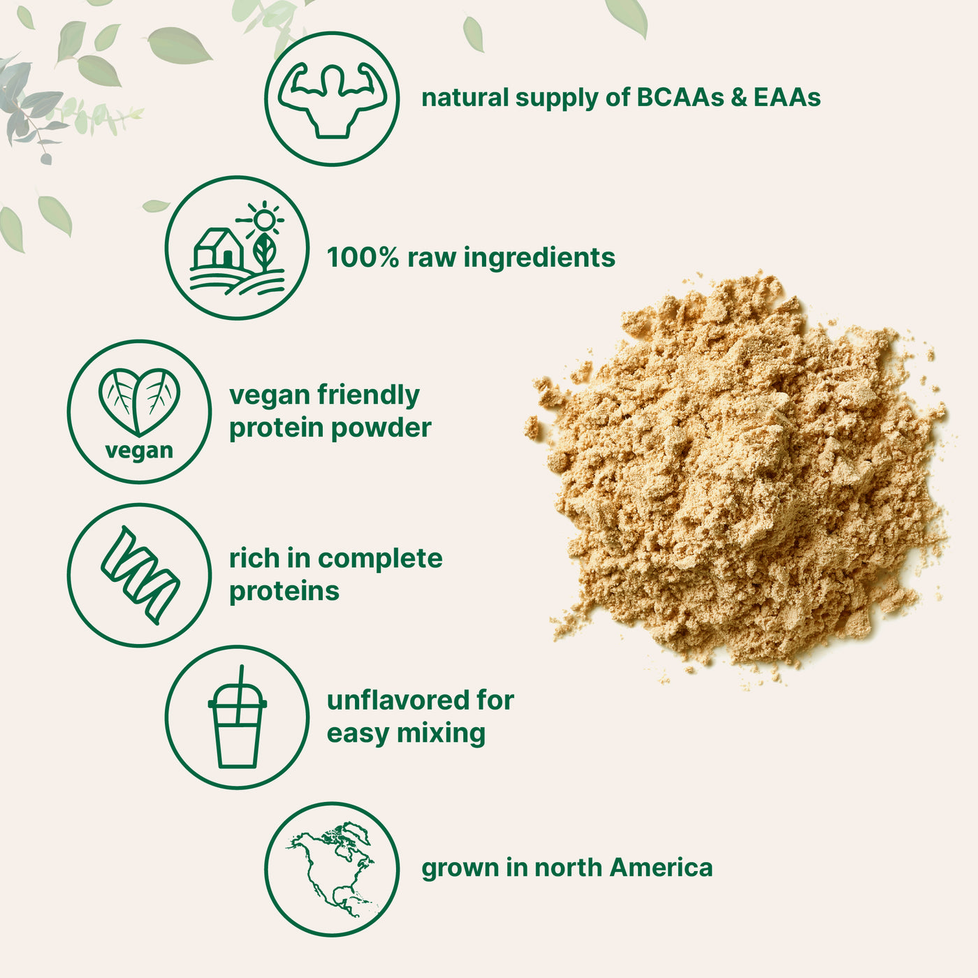 Micro Ingredients Pea Protein Powder, 5lb