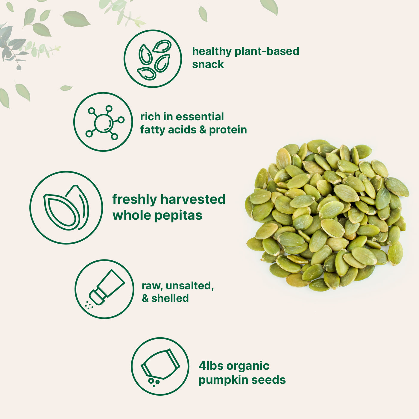 Micro Ingredients Organic Pumpkin Seeds, 4lbs, Raw, Unsalted, & Shelled