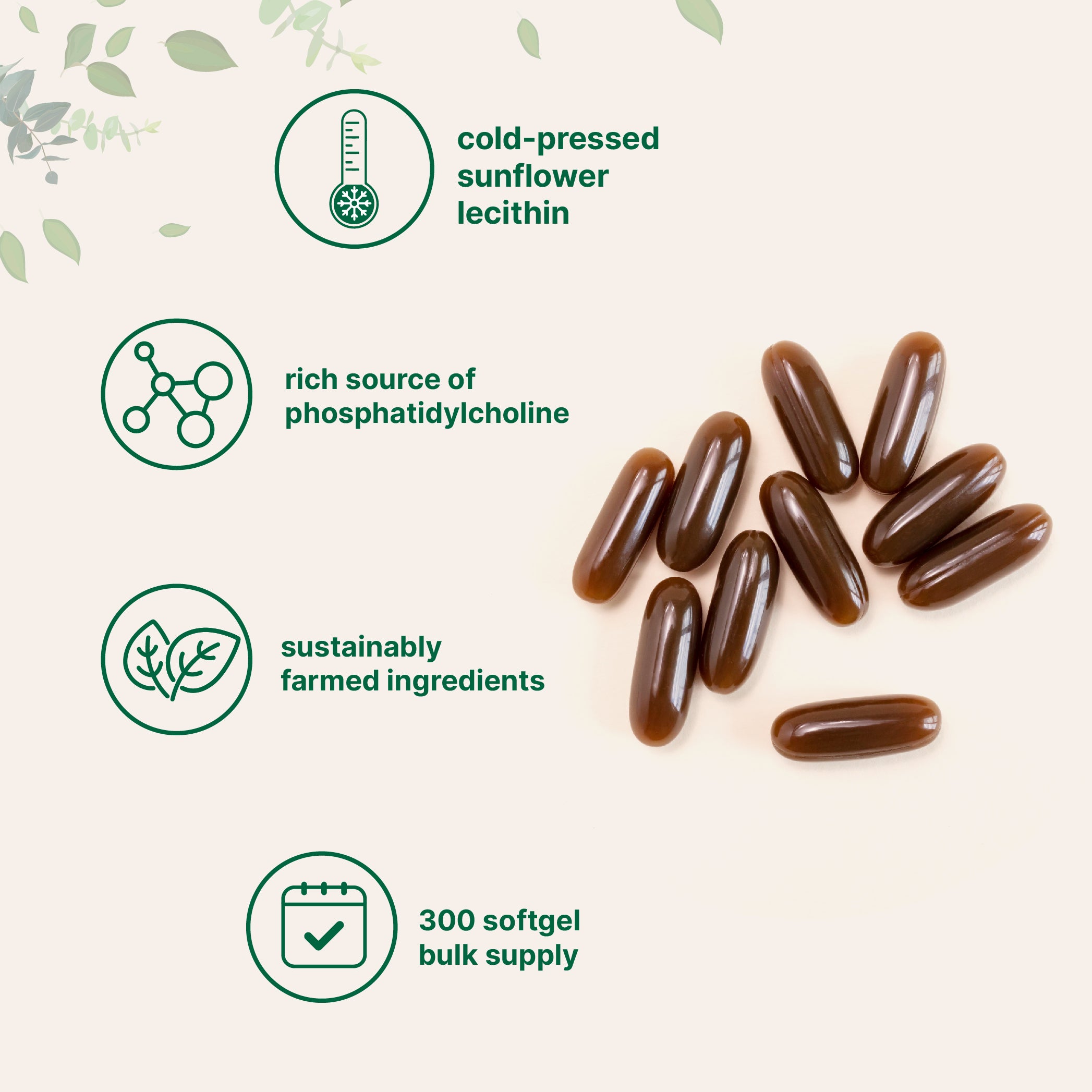 Micro Ingredients Organic Sunflower Lecithin Powder / Softgels