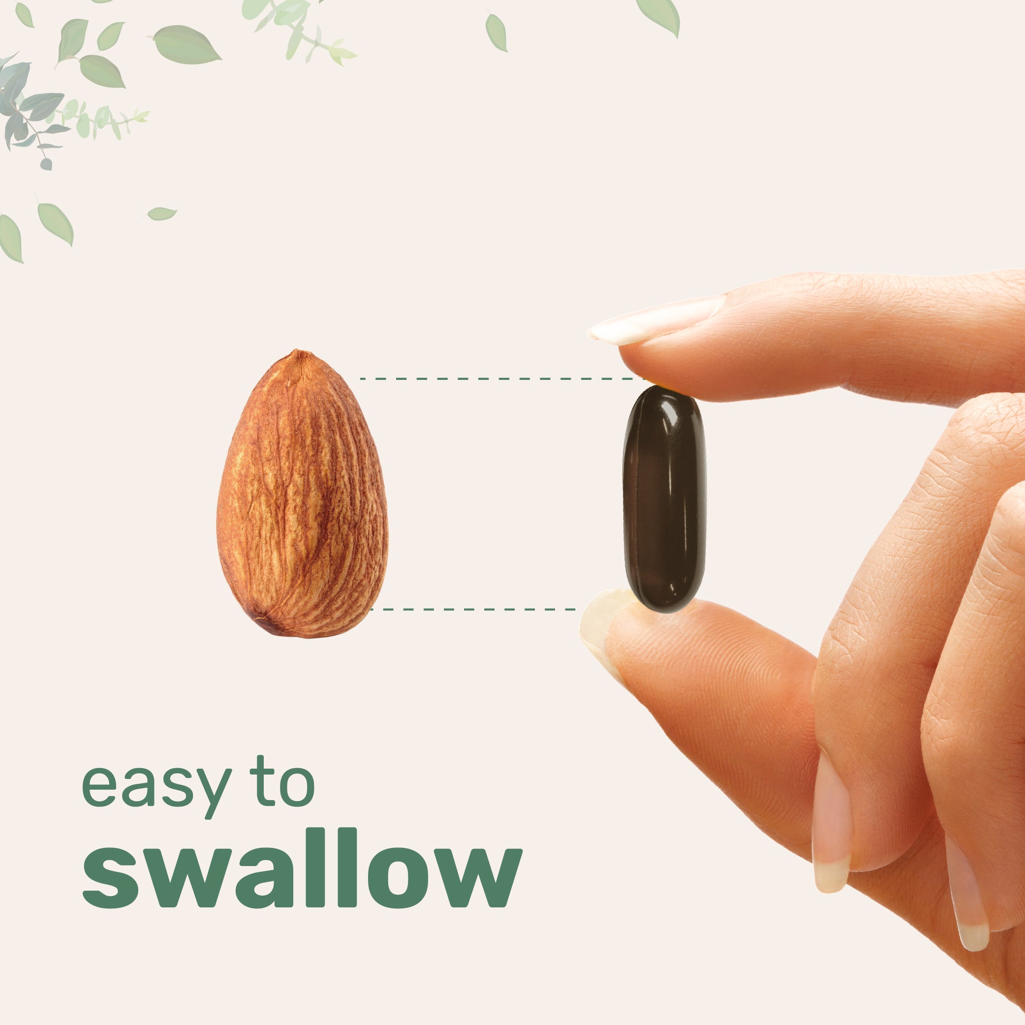 Micro Ingredients Organic Sunflower Lecithin Powder / Softgels