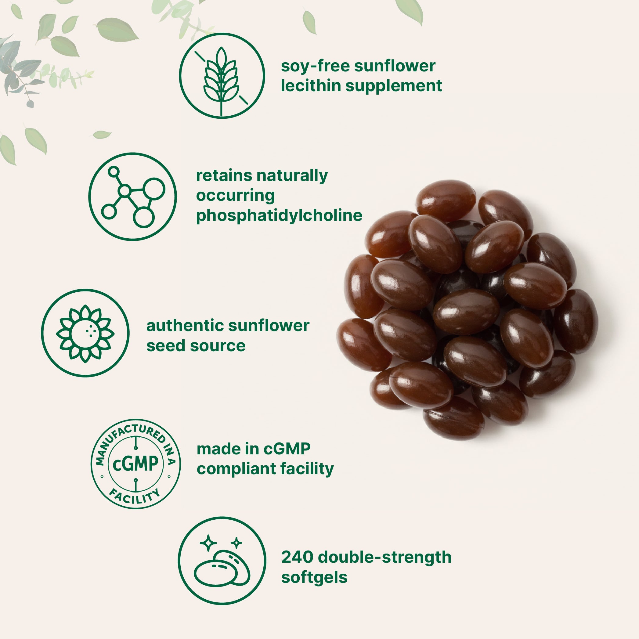 Micro Ingredients Sunflower Lecithin 2400mg, 240 Softgels