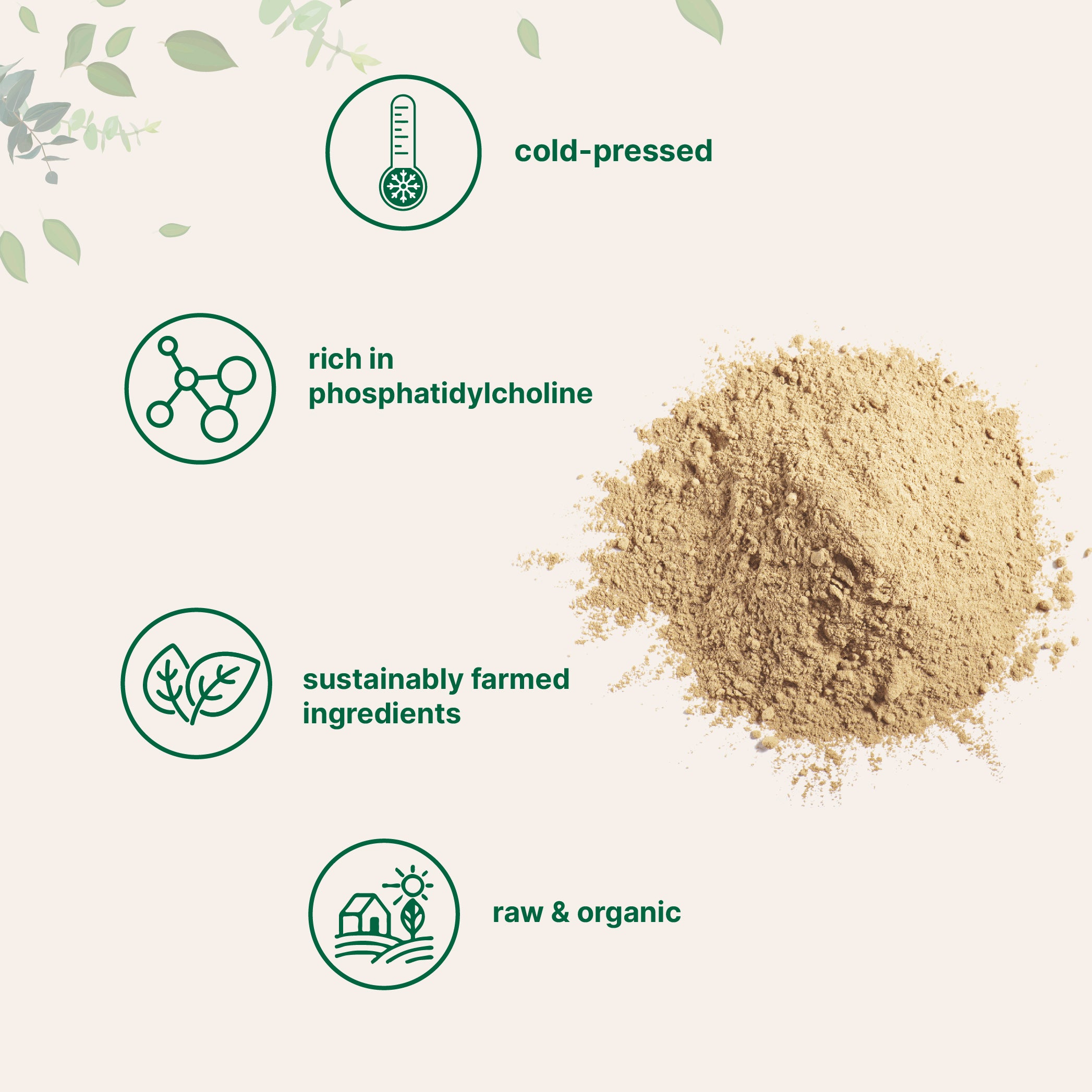 Micro Ingredients Organic Sunflower Lecithin Powder / Softgels