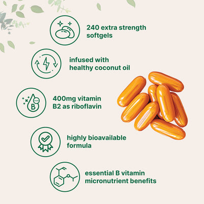 Micro Ingredients Vitamin B2, Riboflavin 400mg, 240 Softgels with Coconut Oil