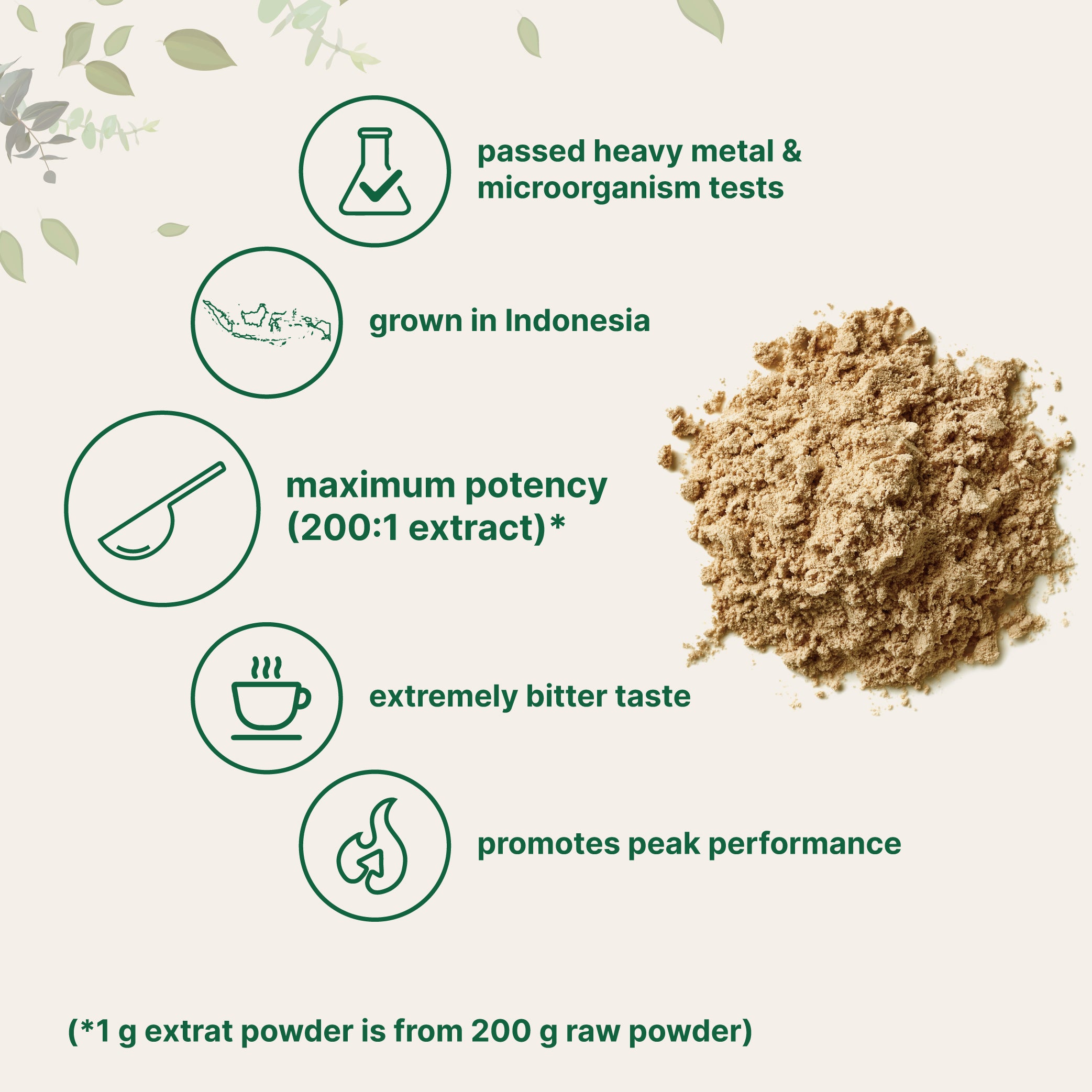 Micro Ingredients Tongkat Ali (longjack) Powder, 100 Grams