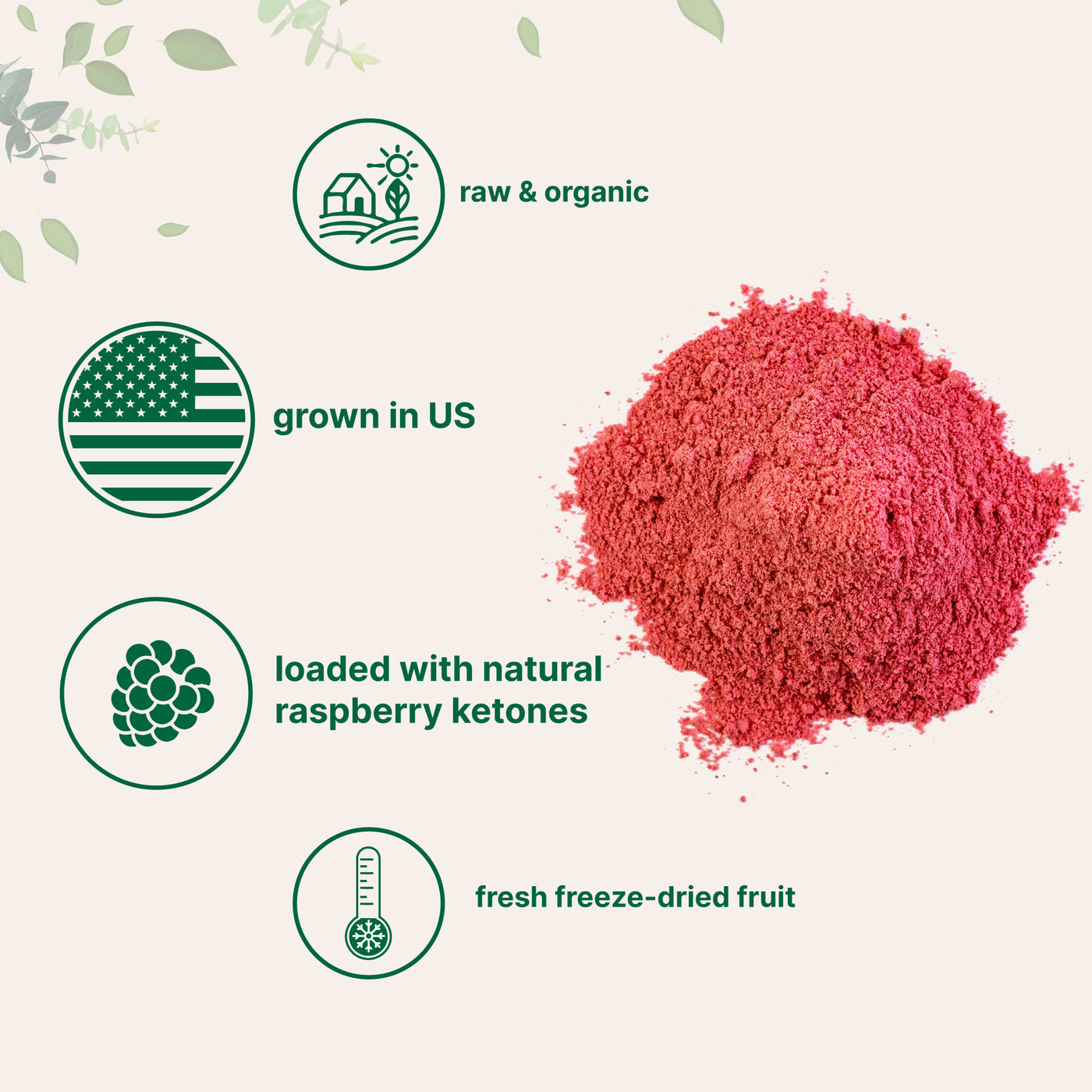 Organic Raspberry Juice Powder - Pure & Natural – Micro Ingredients