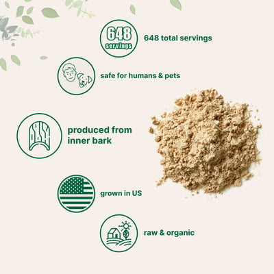 Micro Ingredients Organic Slippery Elm Bark Powder 1lb
