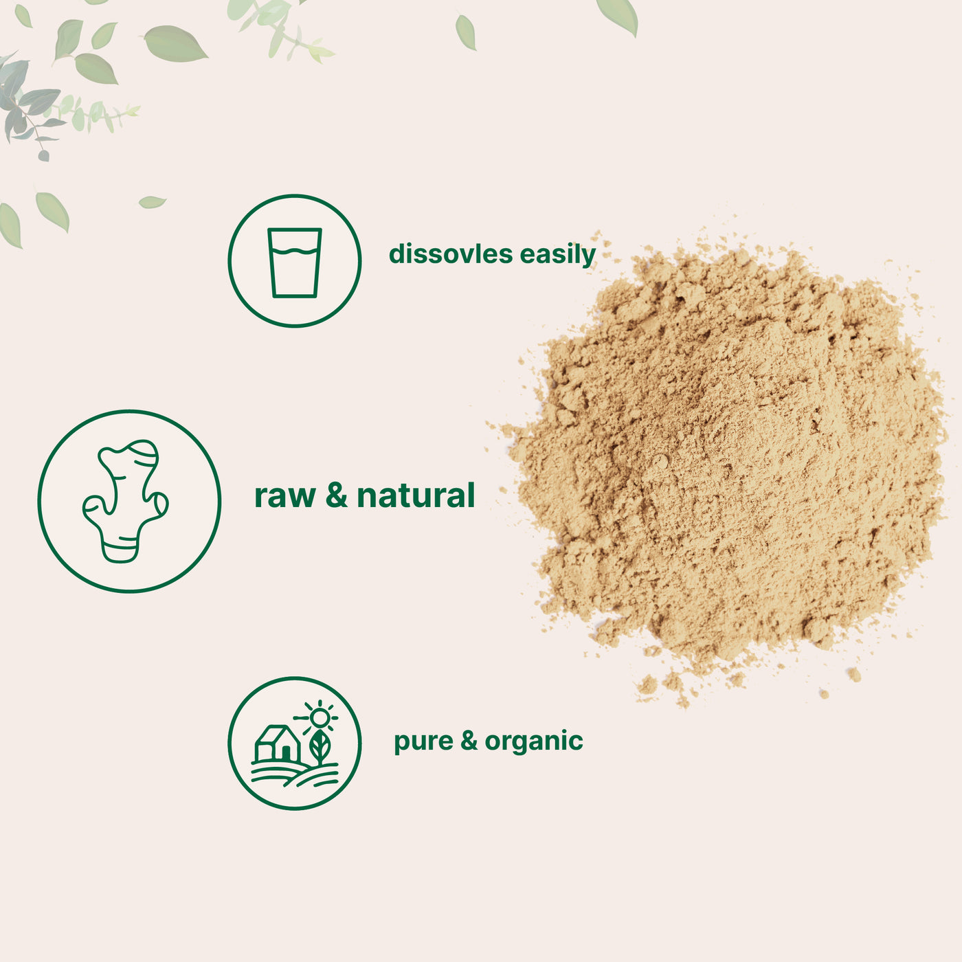 Organic Ginger Powder Forms