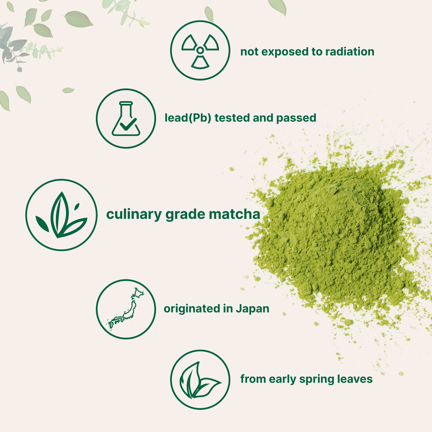 Organic Matcha Green Tea Powder Forms