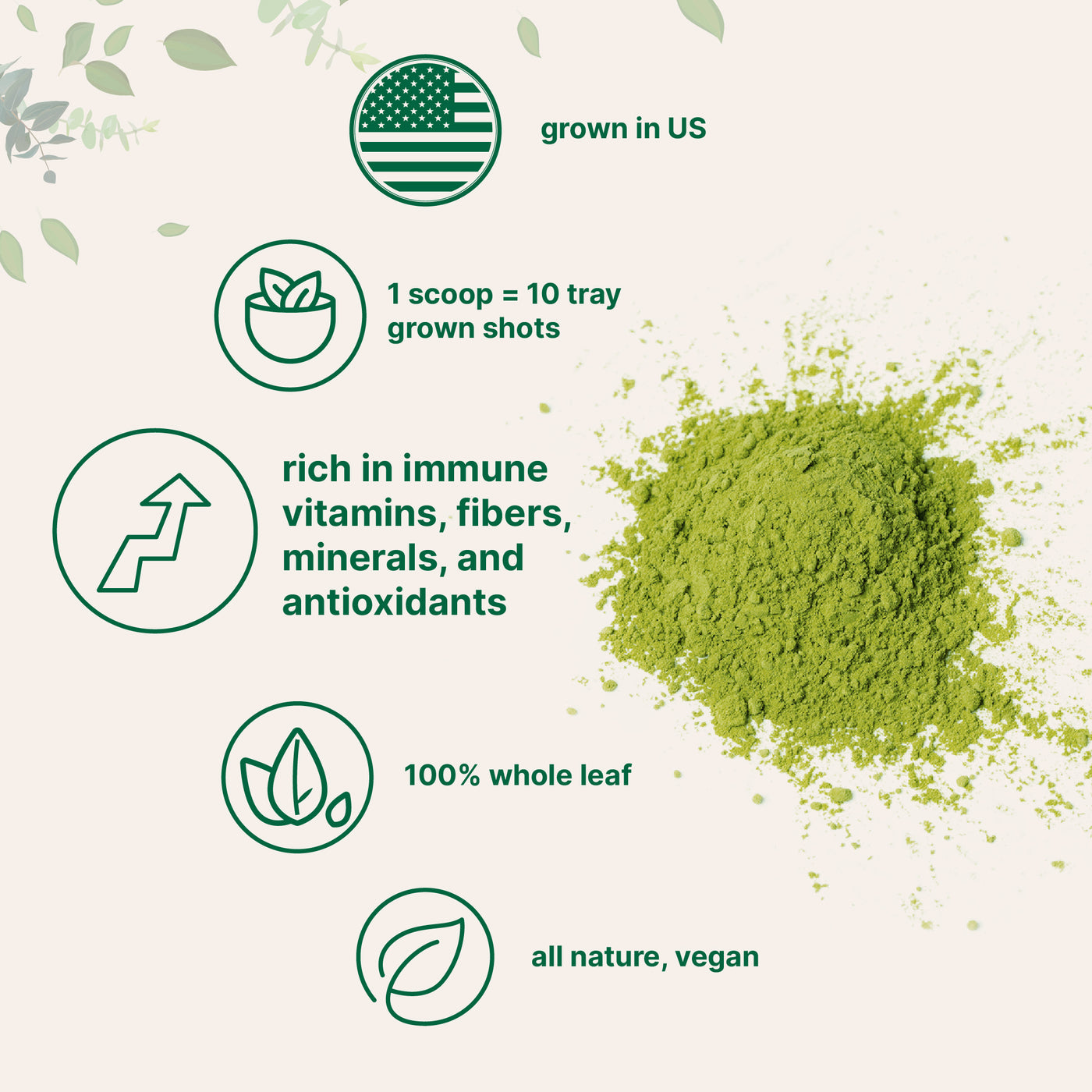 Organic Wheat Grass Powder