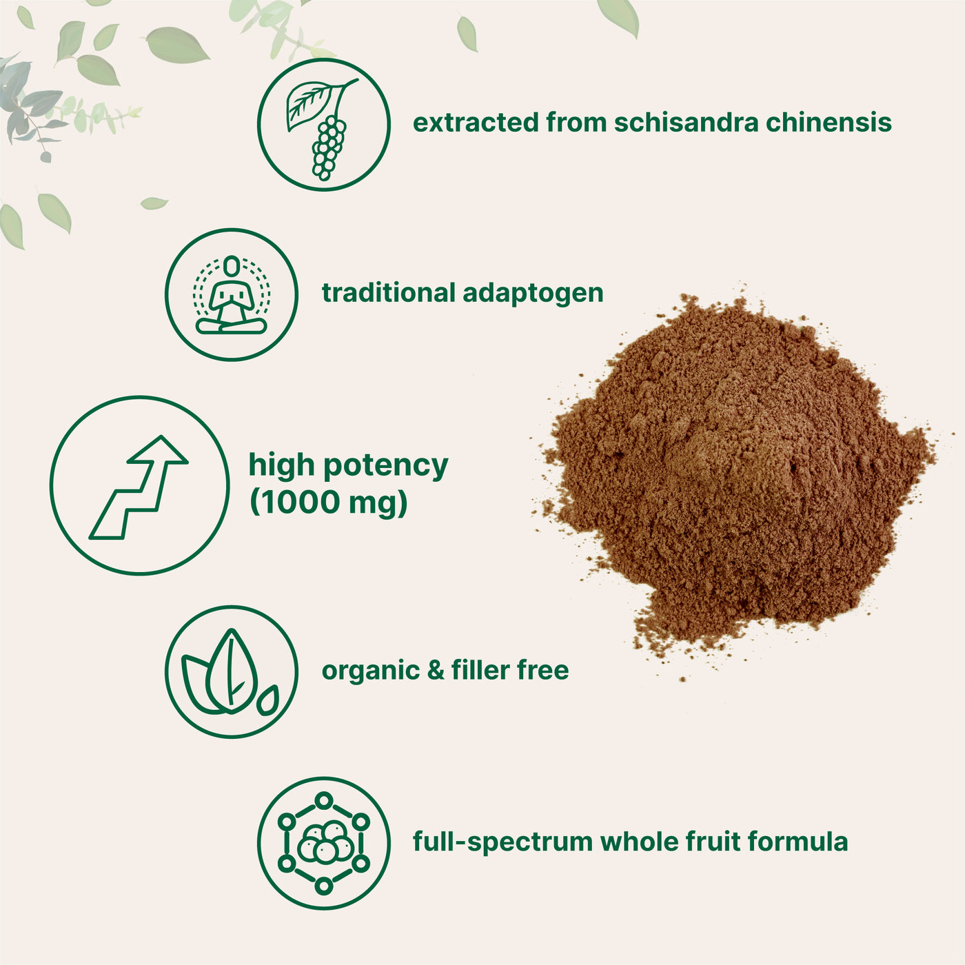 Organic Schisandra Berry Powder