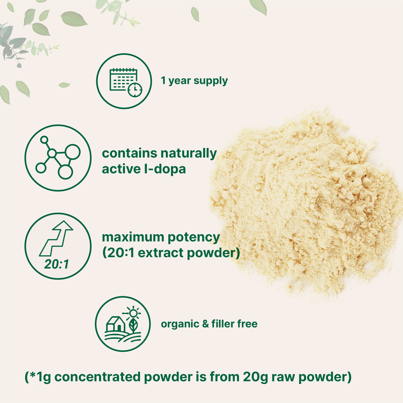 Organic Mucuna Pruriens Powder, 1 Pound Powder Forms