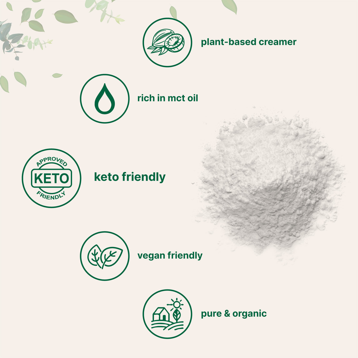 Organic Coconut Milk Powder Forms