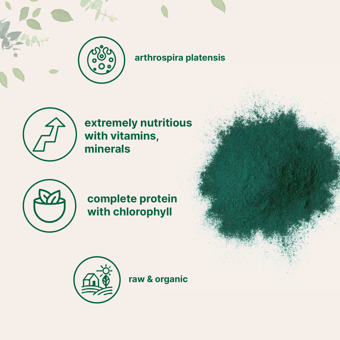 Micro Ingredients Organic Spirulina Powder 1 Pound