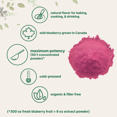 Organic Blueberry Powder, 6 Ounces Powder Forms