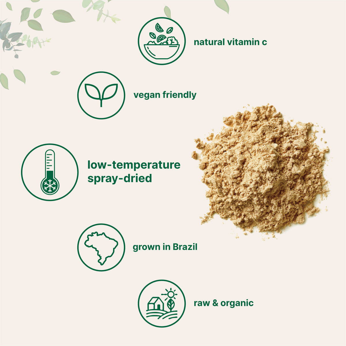 Acer Powder Organic Acerola Cherry Powder - Natural Vitamin C Source – Micro ...