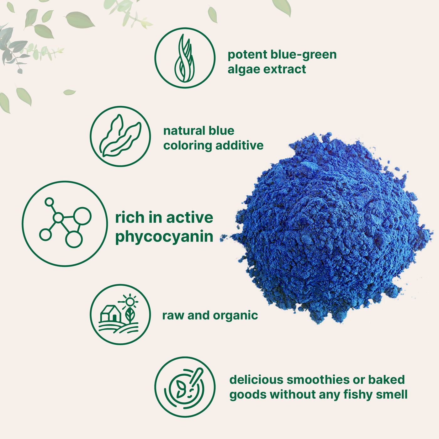 Organic Spirulina Protein Powder: Premium Blue Phycocyanin