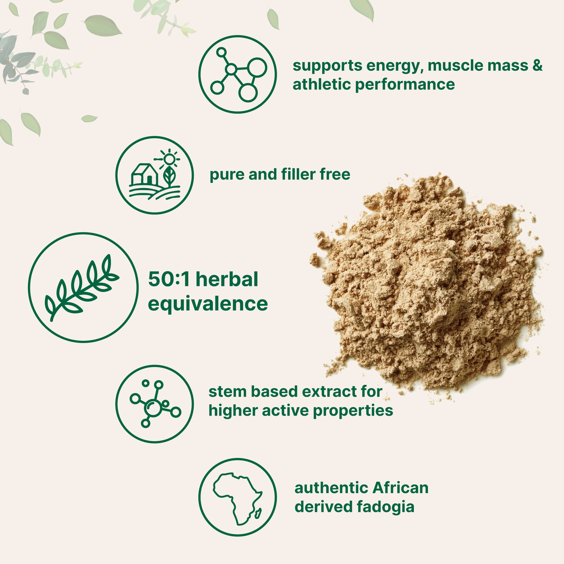 fadogia agrestis plant seeds Micro Ingredients Fadogia Agrestis 50:1 Stem Extract Powder, 4oz