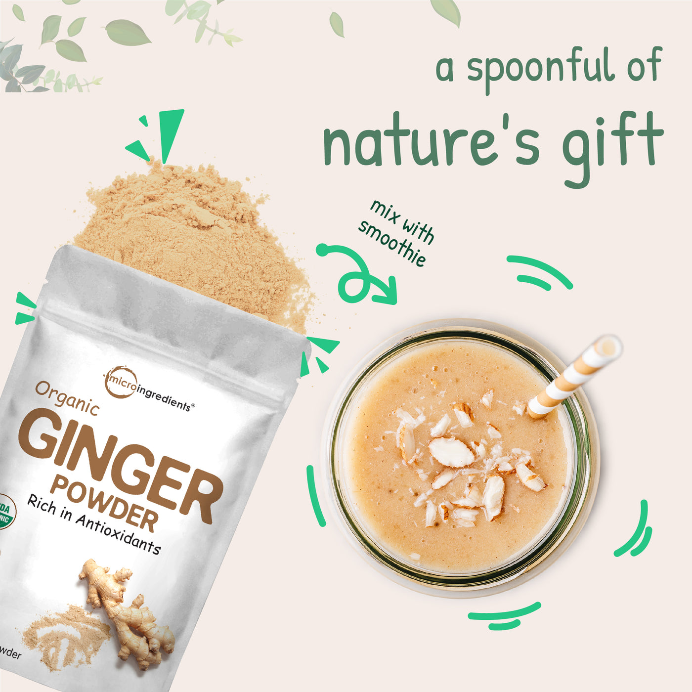 Organic Ginger Powder Nature's Gift