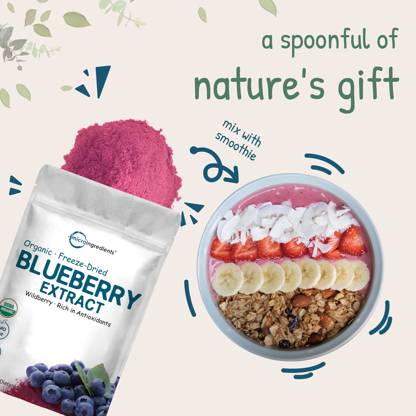 Organic Blueberry Powder, 6 Ounces Nature's Gift