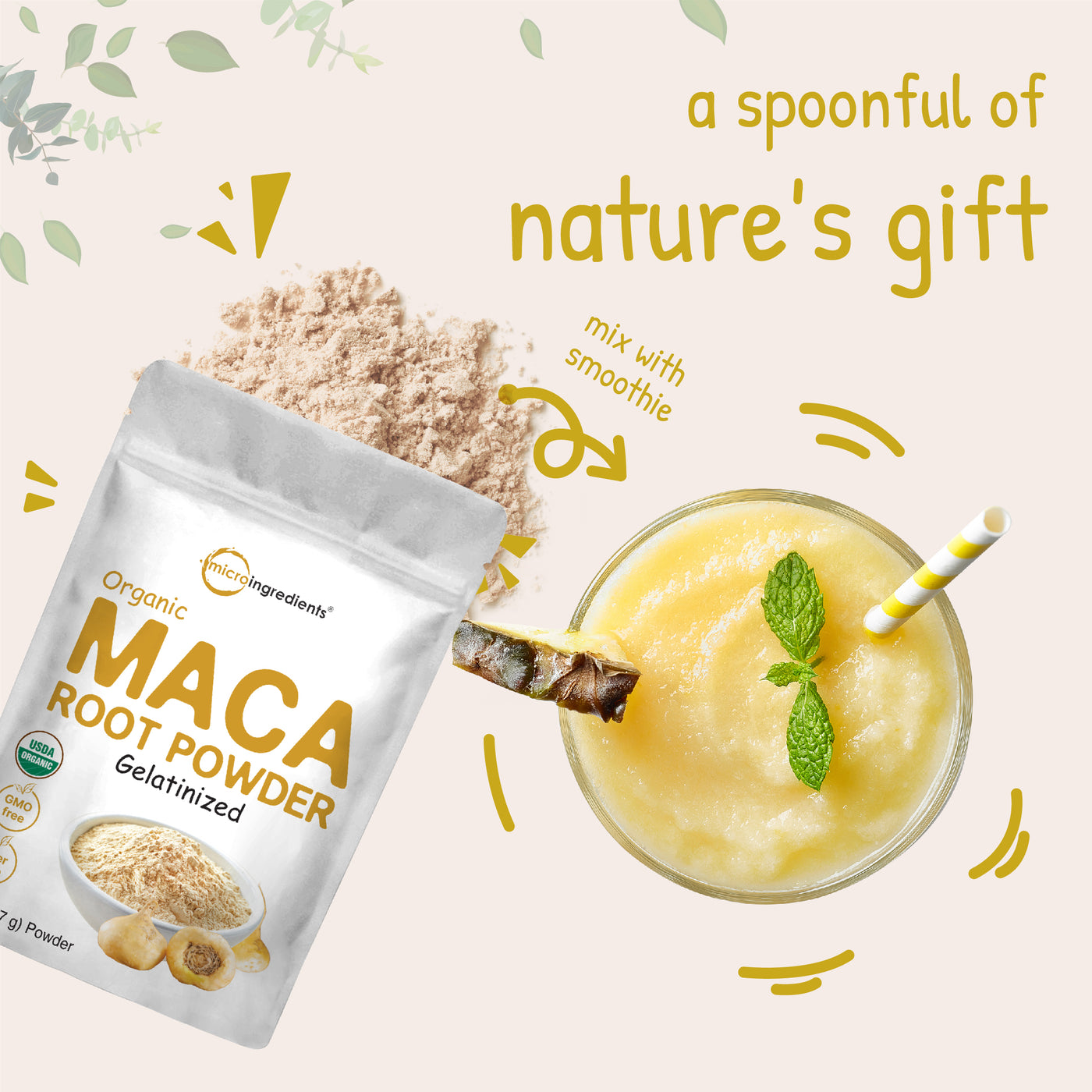 Organic Maca Root Powder Nature's Gift