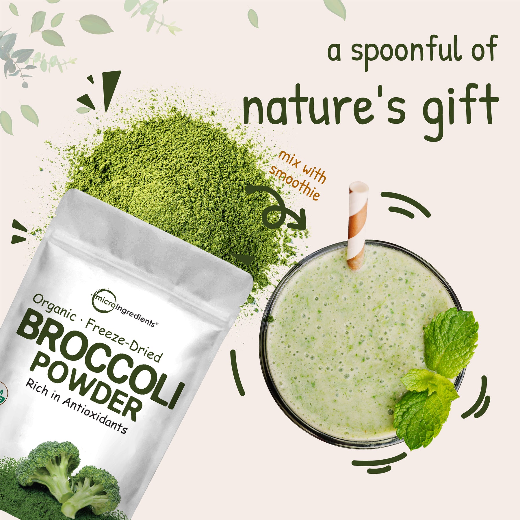 Organic Broccoli Powder | Rich in Antioxidants – Micro Ingredients