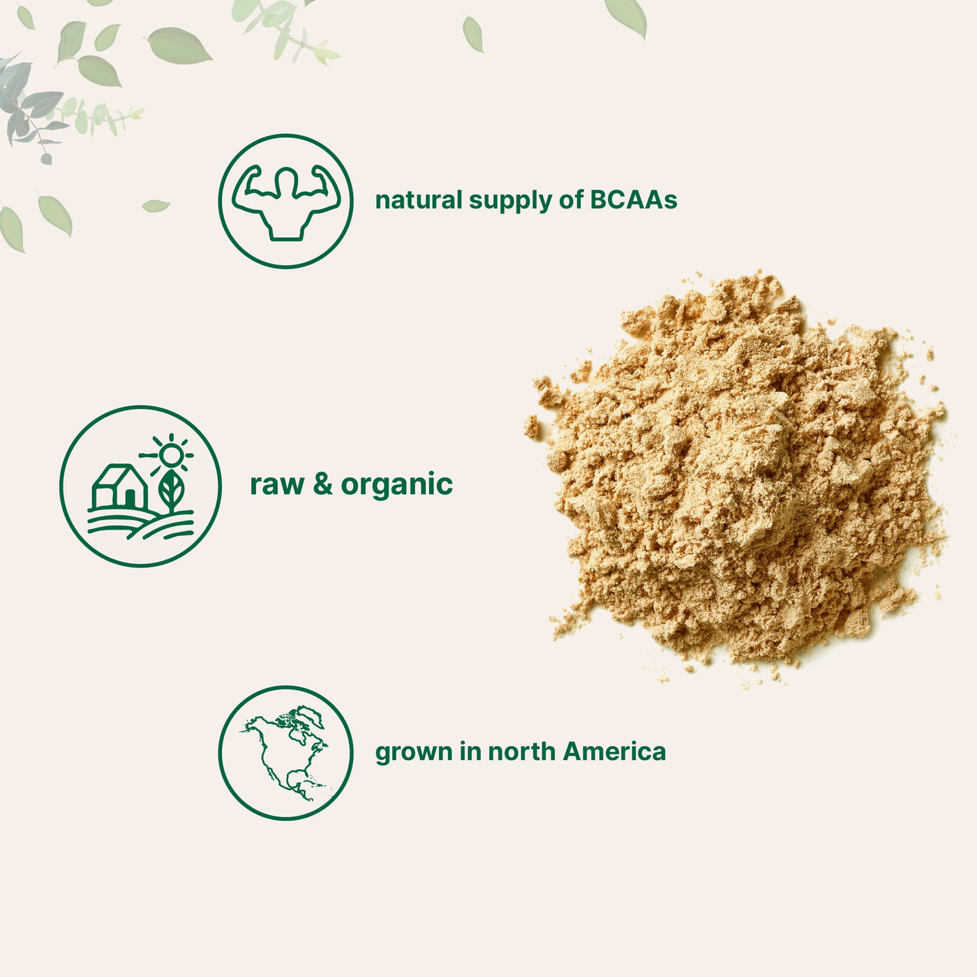 Organic Pea Protein Powder, 2.2 Pounds Powder Forms