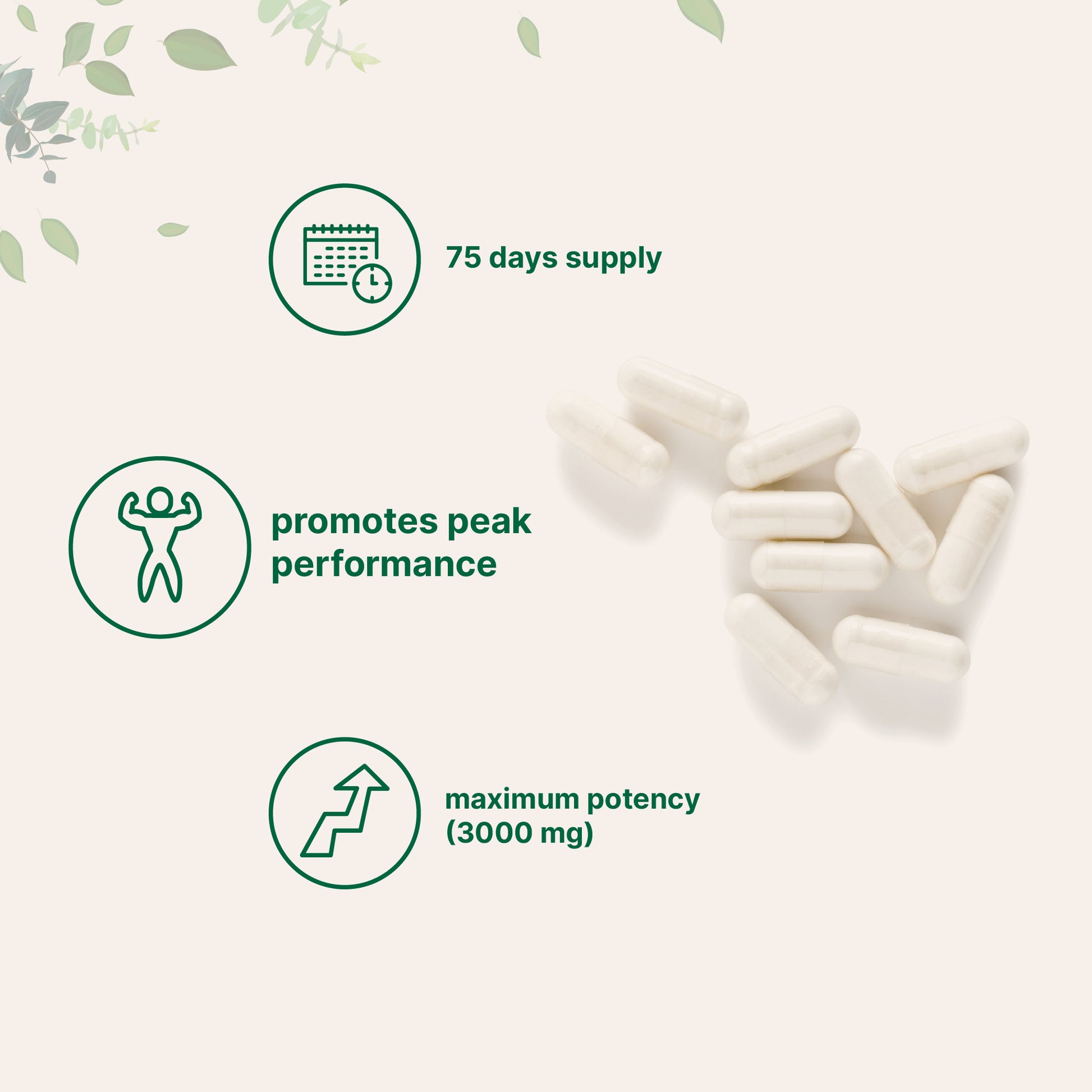 D-Aspartic Acid DAA, 300 Capsules Capsules form