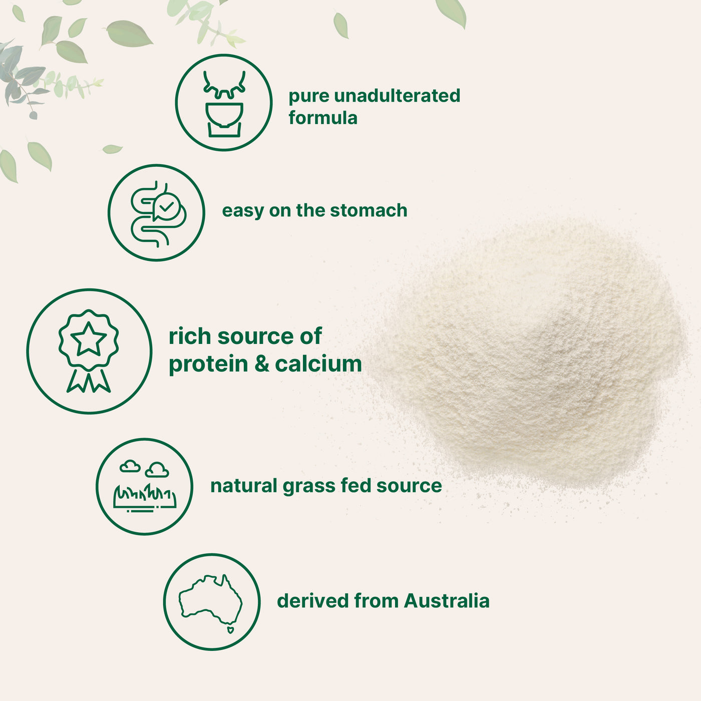 Goat Milk Powder Form