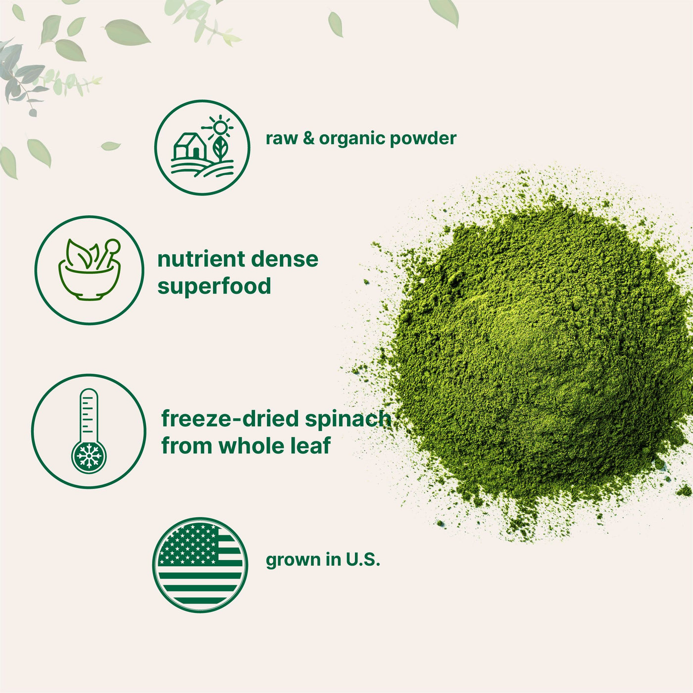 Micro Ingredients Organic Spinach Powder, 1lb