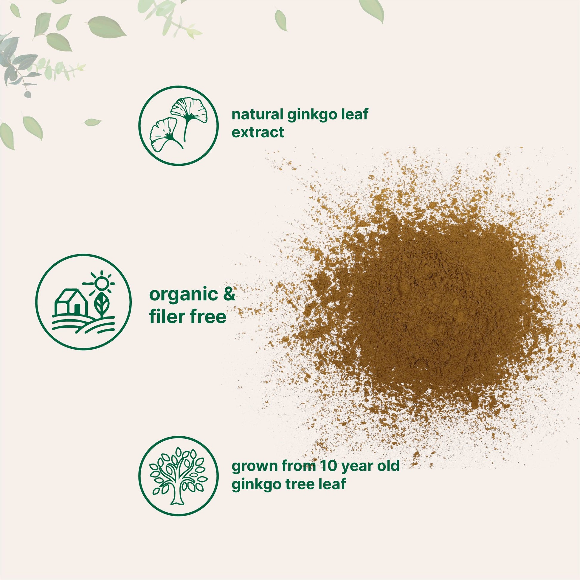 Organic Ginkgo Biloba Powder Forms