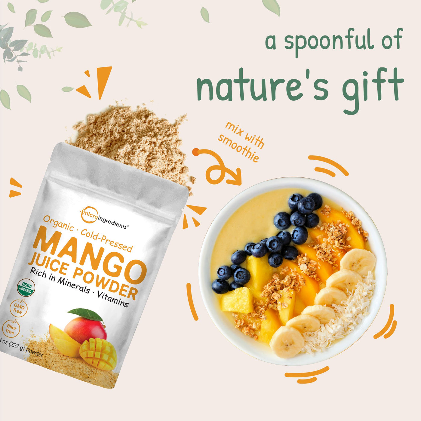 Organic Mango juice Powder